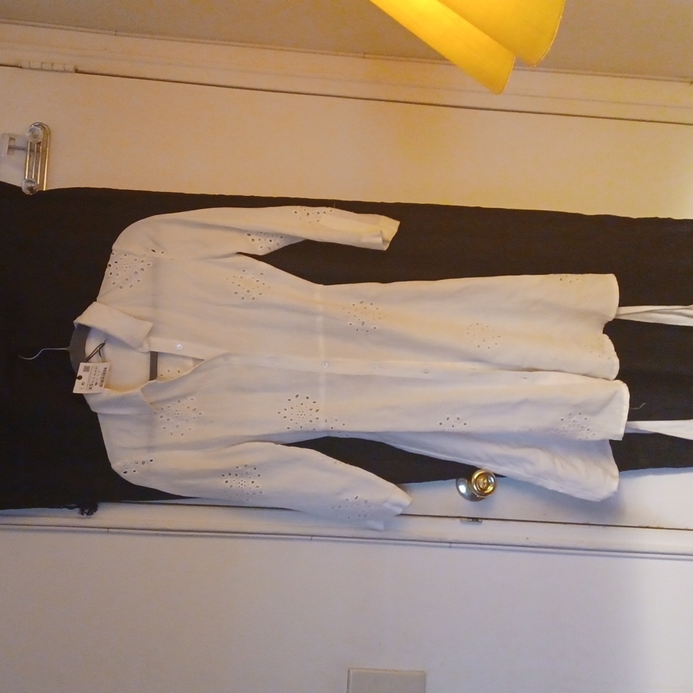 Zara dress